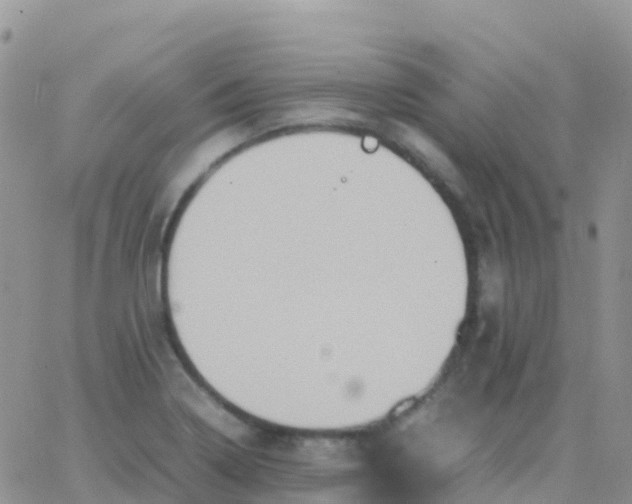 X0000065961322200603172015