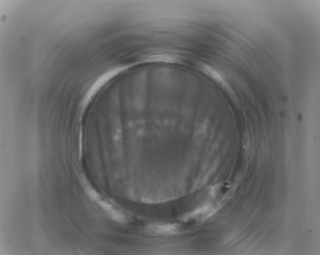 X0000065961323200603172015