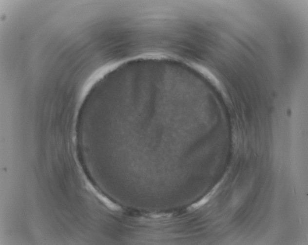 X0000065961327200603172015