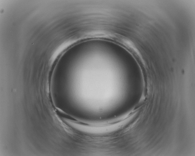 X0000065961328200603172015