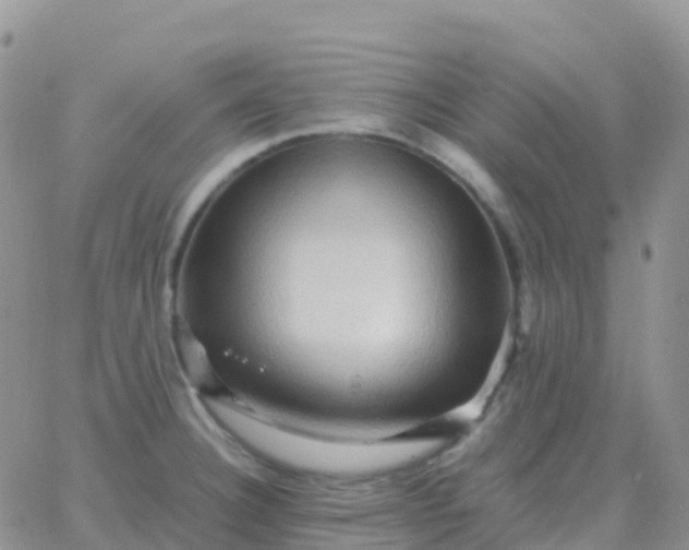 X0000065961332200603172015