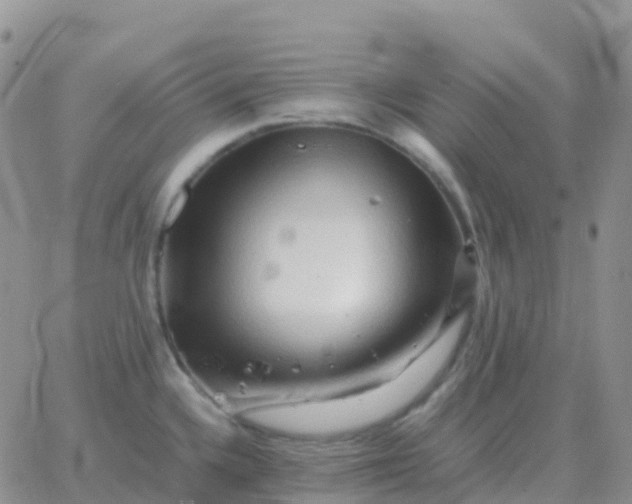 X0000065961336200603172015