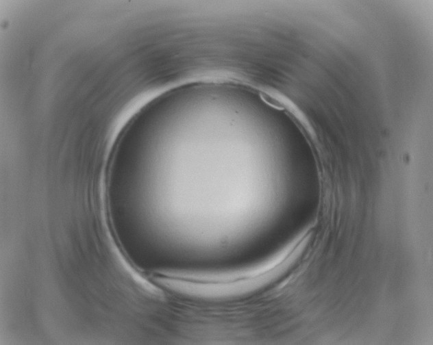 X0000065961343200603172015