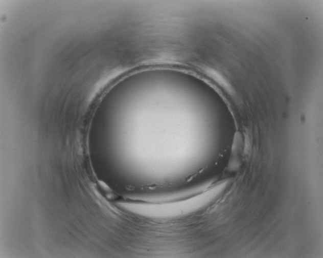 X0000065961356200603172014