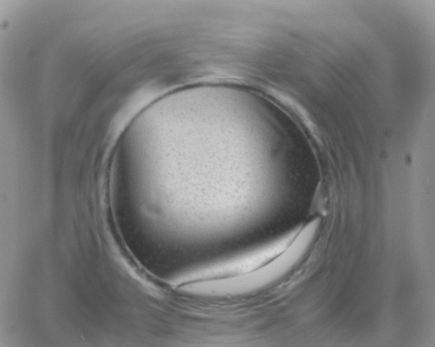 X0000065961375200603172014