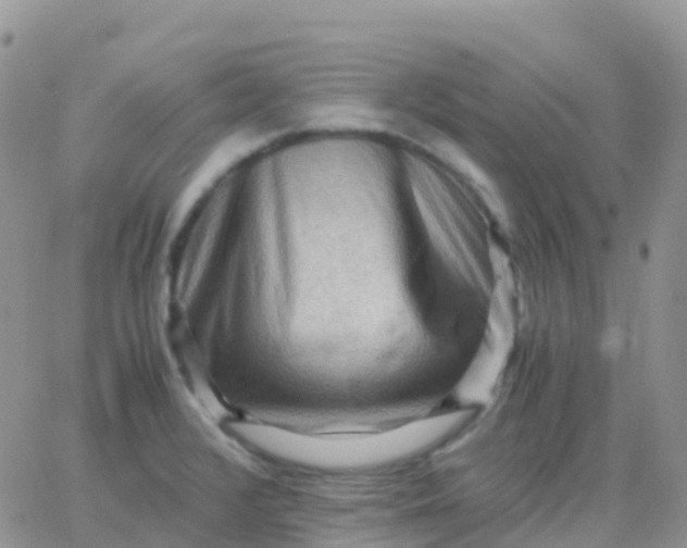 X0000065961376200603172014