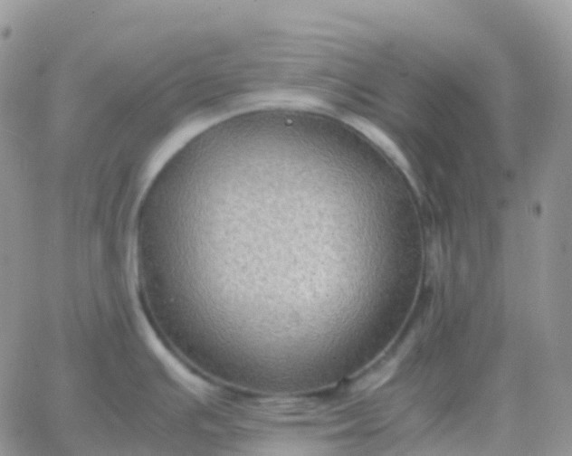 X0000065961391200603172013