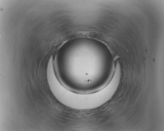 X0000065961394200603172013