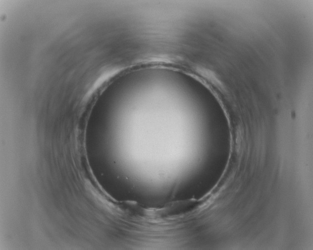 X0000065961404200603172013