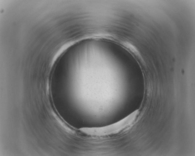 X0000065961420200603172013