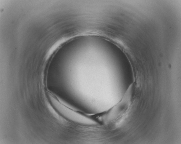 X0000065961422200603172013