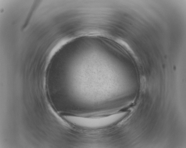 X0000065961424200603172013