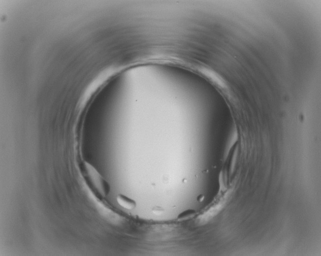X0000065961430200603172013