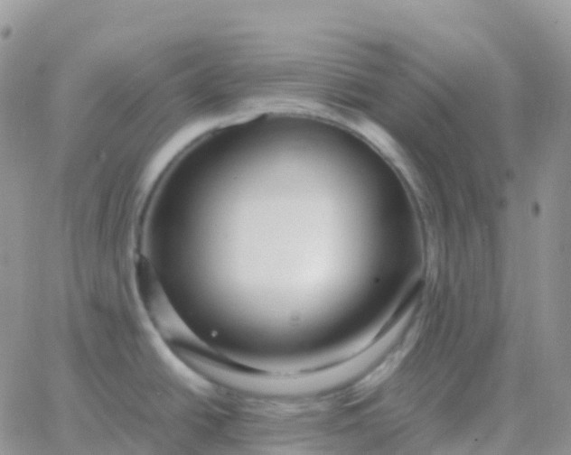 X0000065961438200603172013