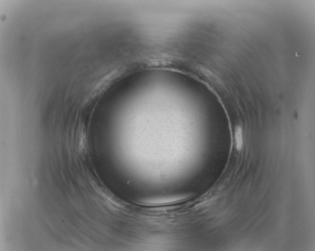 X0000065961444200603172012