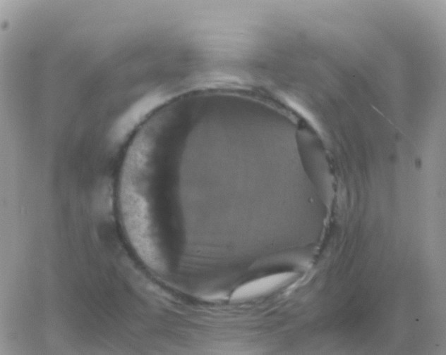 X0000065961455200603172012