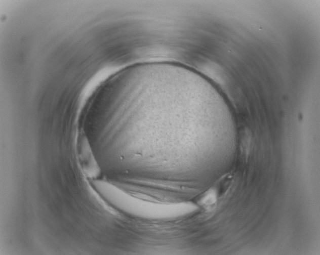 X0000065961472200603172012