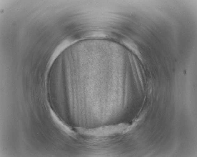 X0000065961475200603172012