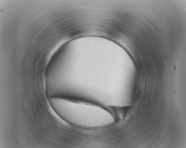 X0000065961476200603172012