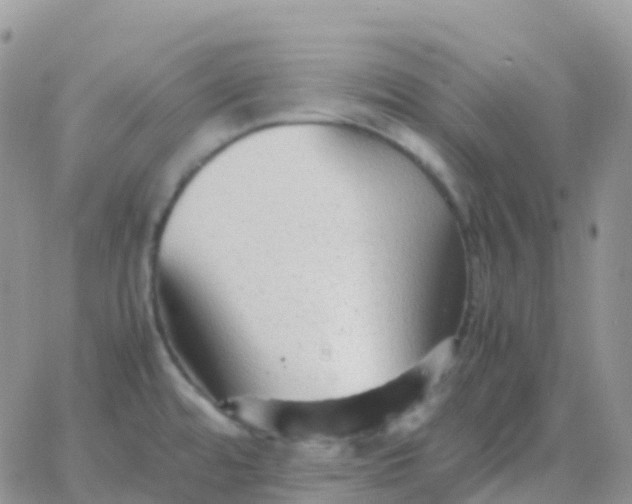 X0000065961480200603172012