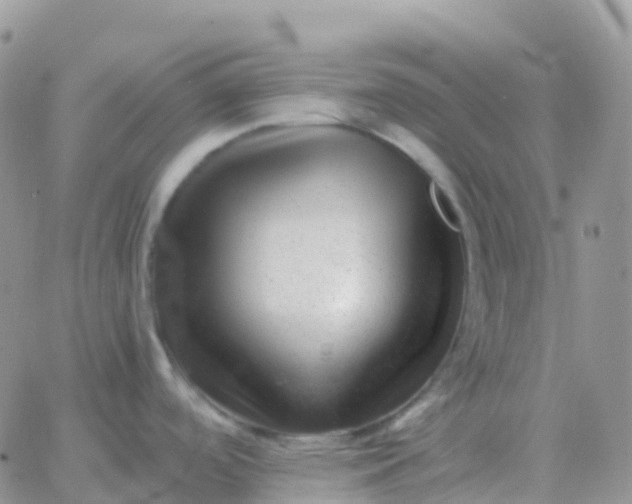 X0000065961488200603172012