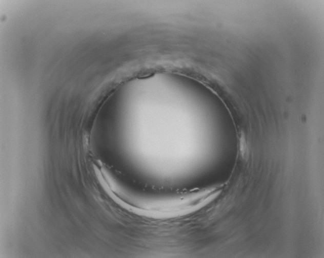 X0000065961492200603172011