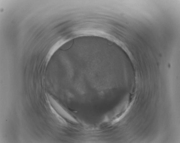 X0000065961529200603172012