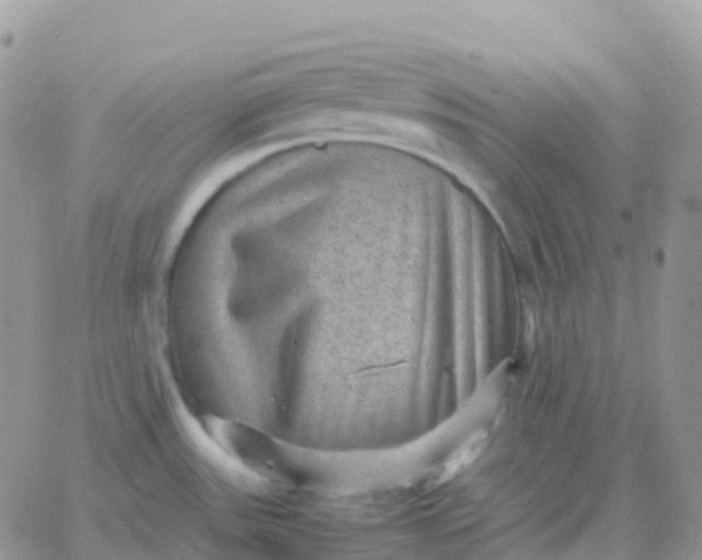 X0000065961531200603172012