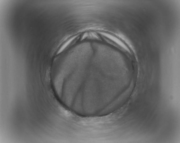 X0000065960009200603241859