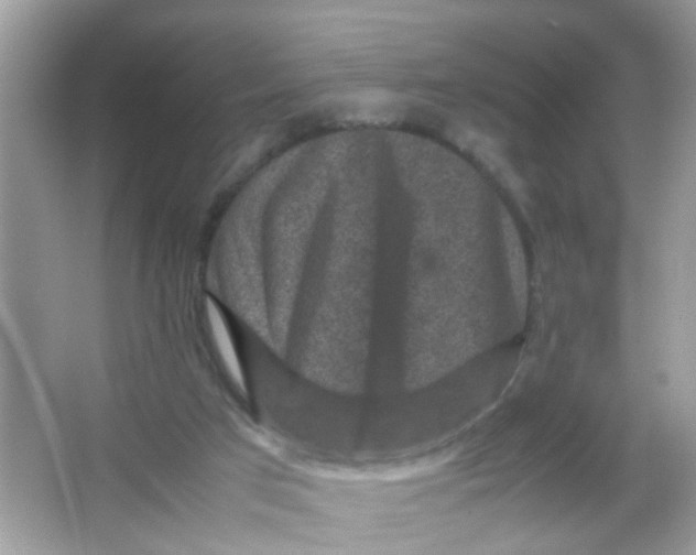 X0000065960017200603241859