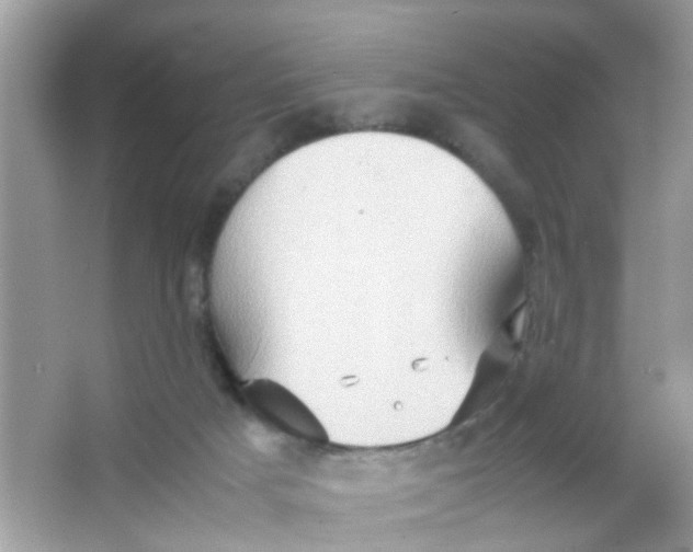 X0000065960025200603241859