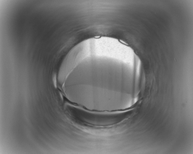 X0000065960027200603241859