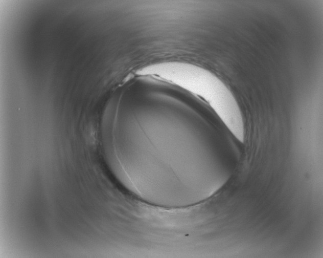 X0000065960039200603241858