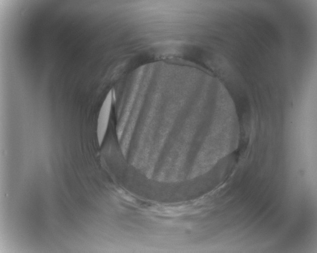 X0000065960041200603241858
