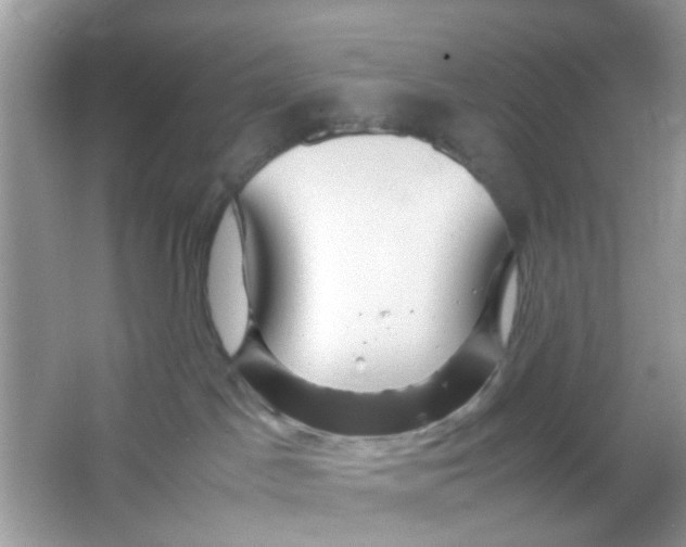 X0000065960045200603241858