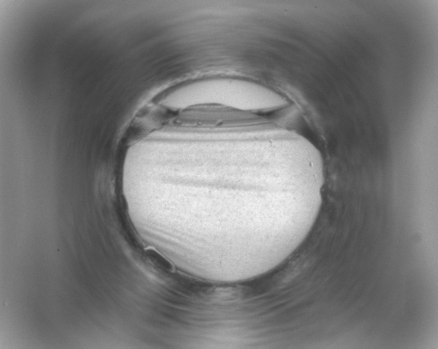 X0000065960060200603241858