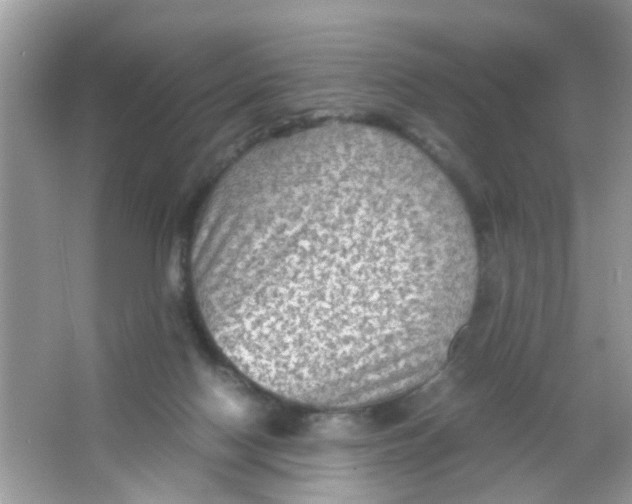 X0000065960074200603241858