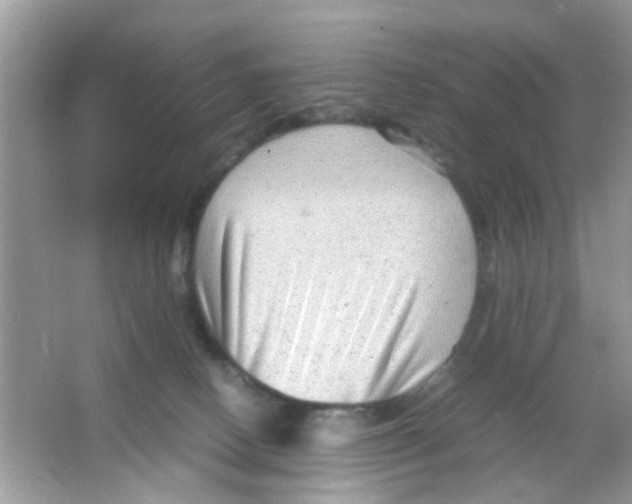 X0000065960082200603241858