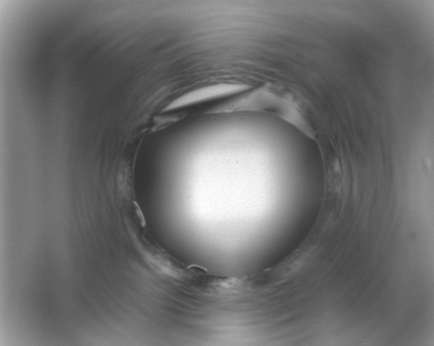 X0000065960092200603241858