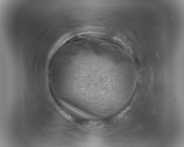 X0000065960101200603241857