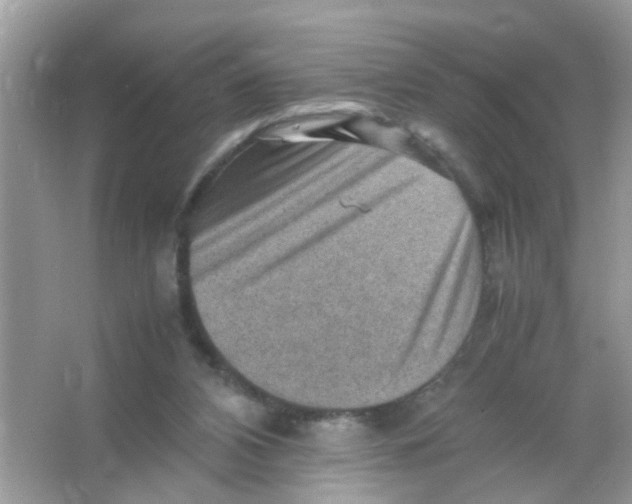 X0000065960112200603241857