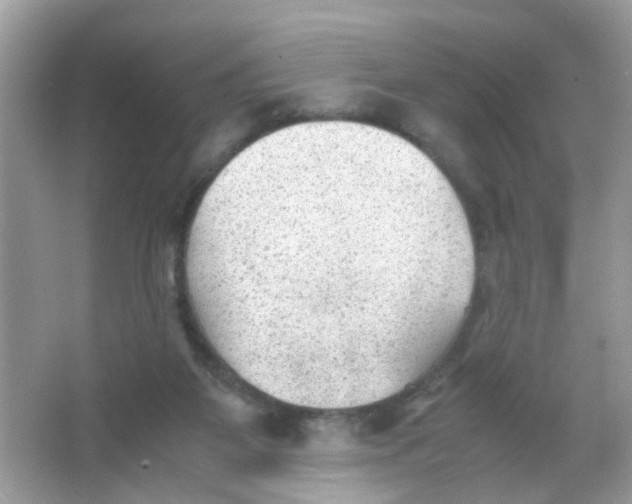 X0000065960115200603241857