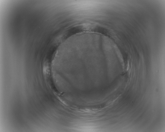 X0000065960137200603241857