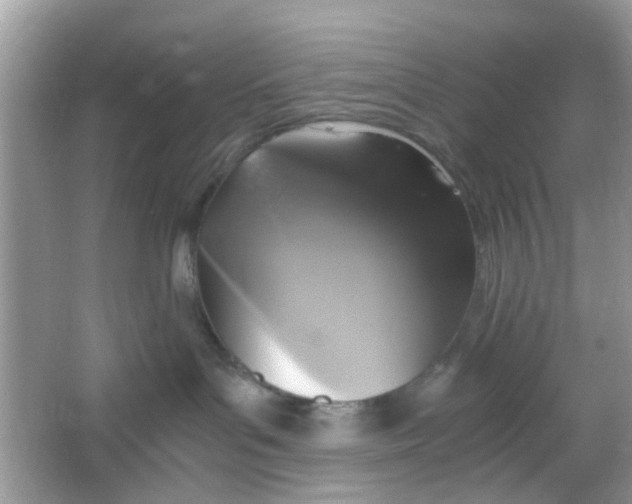 X0000065960143200603241857