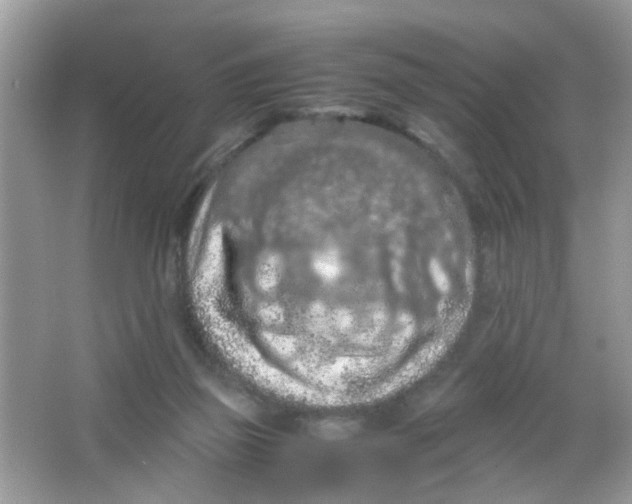 X0000065960165200603241856