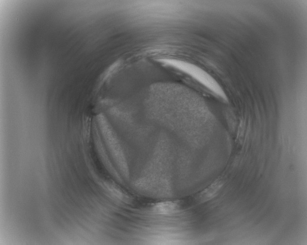 X0000065960168200603241856
