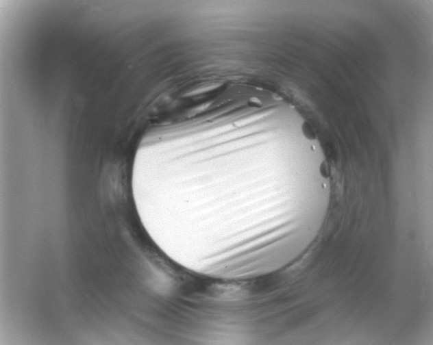 X0000065960170200603241856