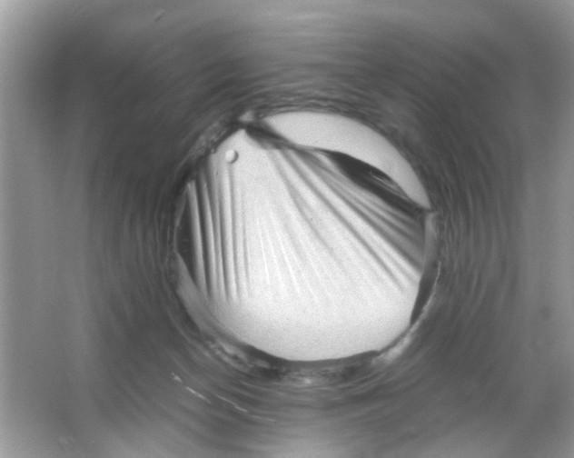 X0000065960174200603241856
