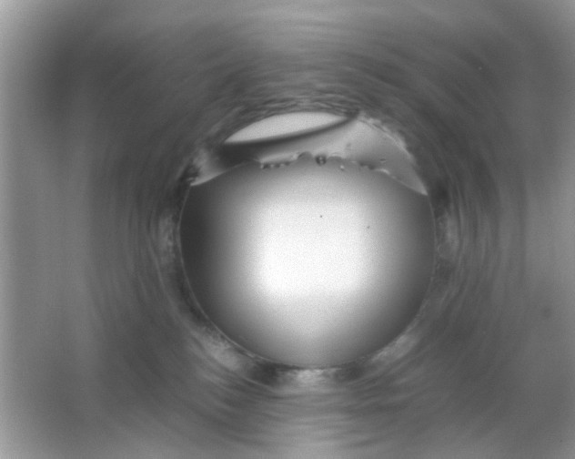 X0000065960184200603241856