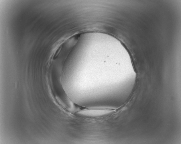 X0000065960193200603241856